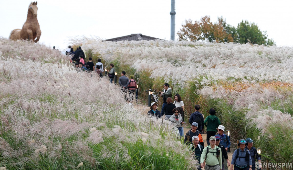 Visitors walk along steps between tall silvergrass at Haneul Park